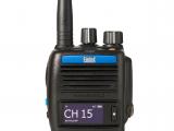 Entel DT544
