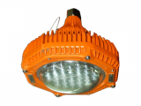Titan AC + 24V Pendant Floodlight